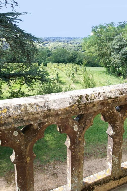 Chateau Fauchey Bed & Breakfast Cadillac Bilik gambar